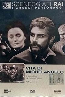 Profilový obrázek - Vita di Michelangelo