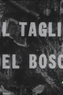 Profilový obrázek - Il taglio del bosco