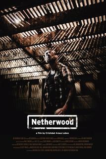 Profilový obrázek - Netherwood