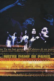 Profilový obrázek - Notre Dame de Paris - Live Arena di Verona