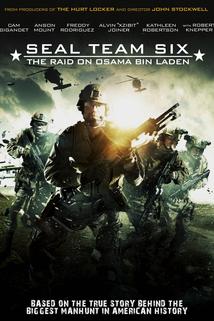 Profilový obrázek - Seal Team Six: The Raid on Osama Bin Laden