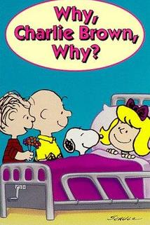 Profilový obrázek - Why, Charlie Brown, Why?