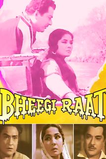 Profilový obrázek - Bheegi Raat