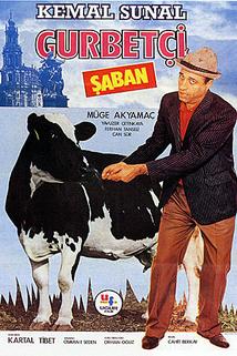 Profilový obrázek - Gurbetçi Saban