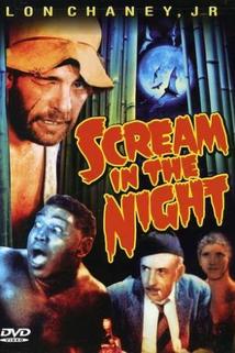 Profilový obrázek - A Scream in the Night