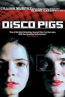 Profilový obrázek - Disco Pigs