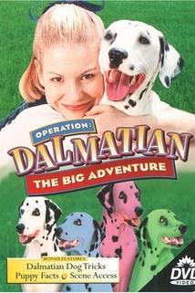 Profilový obrázek - Operation Dalmatian: The Big Adventure