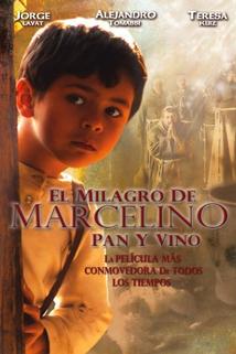 Profilový obrázek - Marcelino pan y vino
