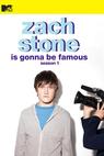 Jmenuje se Zach. Zach Stone. (2013)