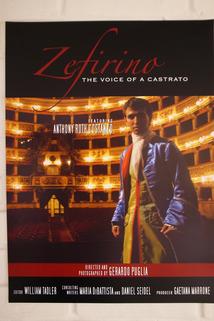 Zefirino: The Voice of a Castrato