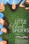Little black spiders 