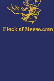 Profilový obrázek - Flock of Meese