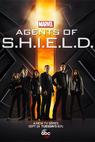 Agenti S.H.I.E.L.D. (2013)