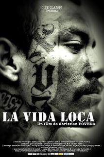 Profilový obrázek - La Vida Loca