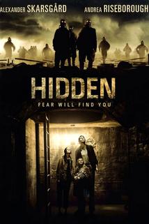 Hidden  - Hidden
