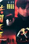 Kung chong tin ngai (1995)