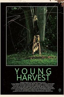 Profilový obrázek - Young Harvest