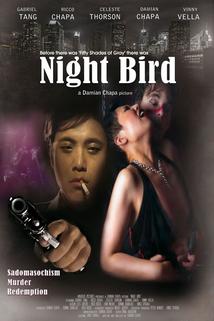 Profilový obrázek - Night Bird
