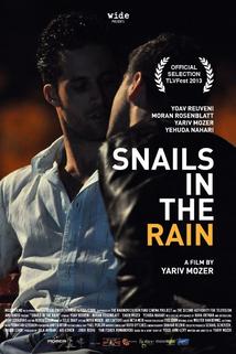 Profilový obrázek - Snails in the Rain