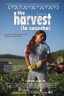 Profilový obrázek - The Harvest/La Cosecha