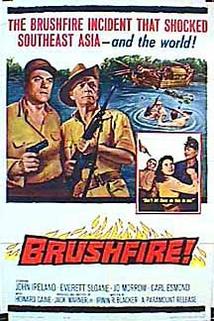 Profilový obrázek - Brushfire