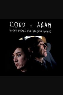 Profilový obrázek - Corp & Anam
