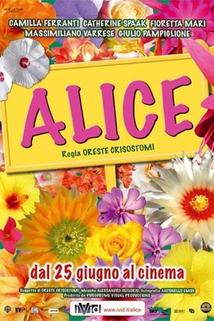 Profilový obrázek - Alice