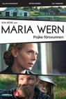 Maria Wern - Pojke försvunnen 