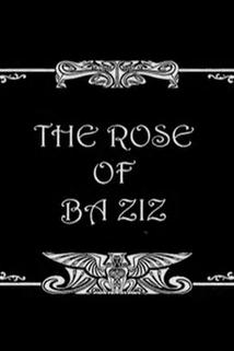 Profilový obrázek - The Rose of Ba Ziz