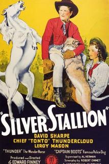 Profilový obrázek - Silver Stallion