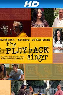 Profilový obrázek - The Playback Singer