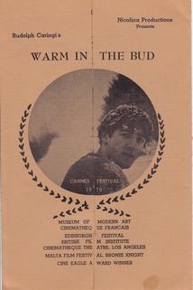 Warm in the Bud