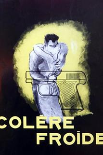 Profilový obrázek - Colère froide