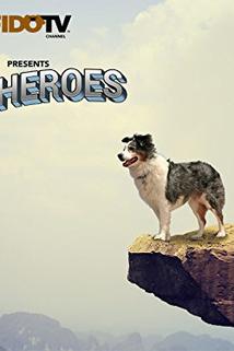 Profilový obrázek - Pet Heroes