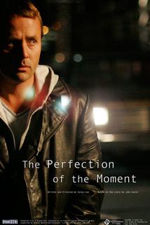 Profilový obrázek - The Perfection of the Moment
