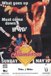 Profilový obrázek - WCW Slamboree '96: Lethal Lottery