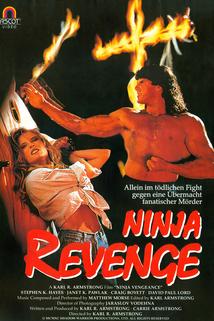 Profilový obrázek - Ninja Vengeance
