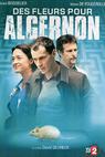 Des fleurs pour Algernon (2006)