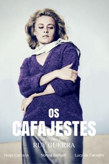 Profilový obrázek - Os Cafajestes