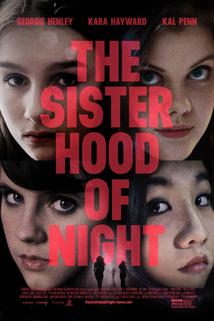 Profilový obrázek - The Sisterhood of Night