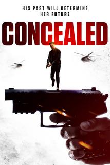 Concealed  - Concealed