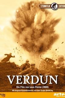 Profilový obrázek - Verdun, visions d'histoire