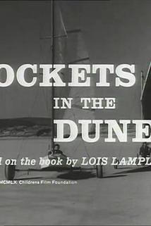 Profilový obrázek - Rockets in the Dunes