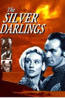 Profilový obrázek - Silver Darlings