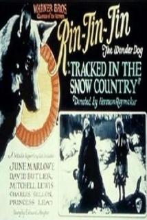 Profilový obrázek - Tracked in the Snow Country