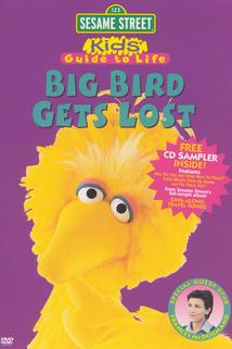 Profilový obrázek - Big Bird Gets Lost