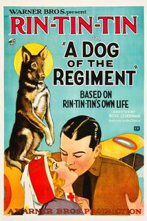 Profilový obrázek - A Dog of the Regiment