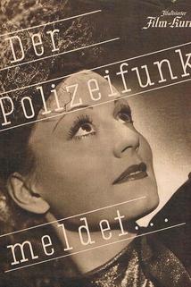 Profilový obrázek - Der Polizeifunk meldet