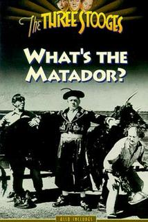 Profilový obrázek - What's the Matador?