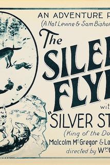 The Silent Flyer  - The Silent Flyer